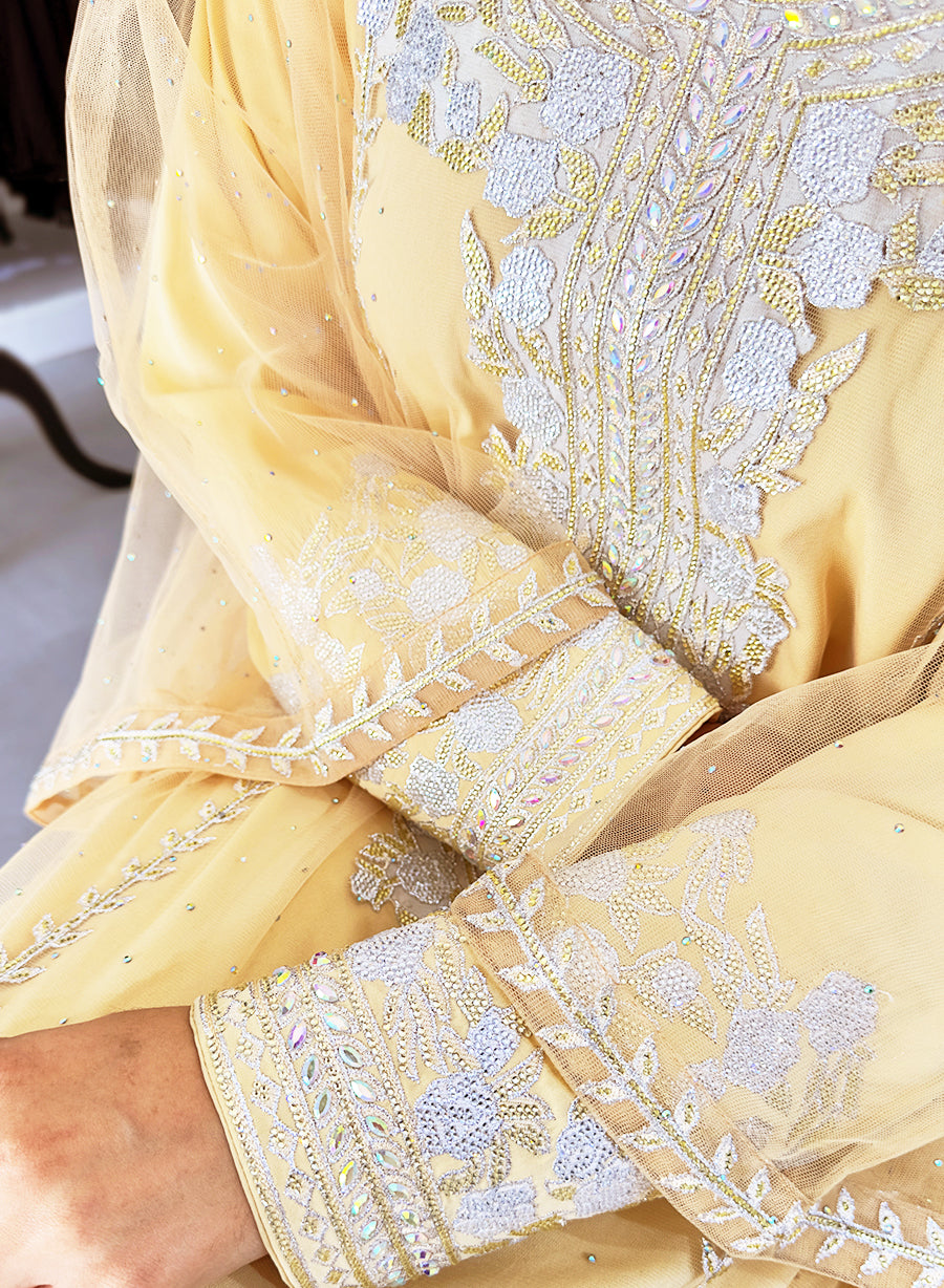 Stylish Embroidered Fustan, Enriched With Exquisite Stone Embellishments | Bsid60